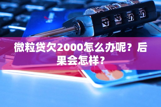 微粒贷欠2000怎么办呢？后果会怎样？