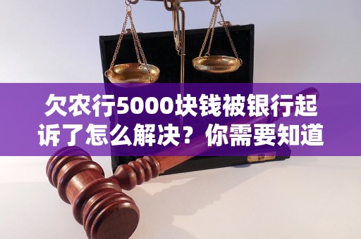 欠农行5000块钱被银行起诉了怎么解决？你需要知道的全部解决方法