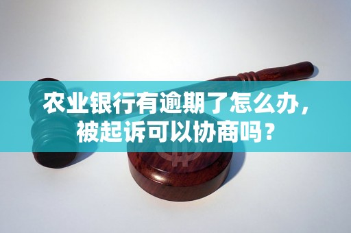 农业银行有逾期了怎么办，被起诉可以协商吗？