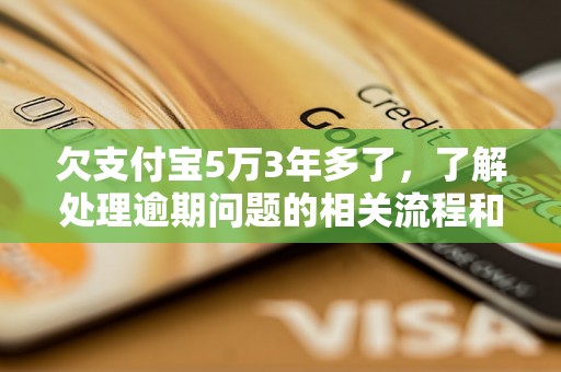 欠支付宝5万3年多了，了解处理逾期问题的相关流程和方法