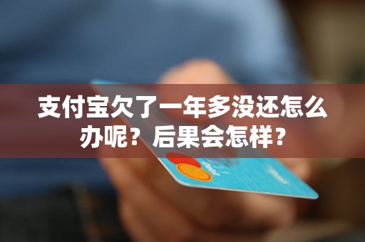 支付宝欠了一年多没还怎么办呢？后果会怎样？