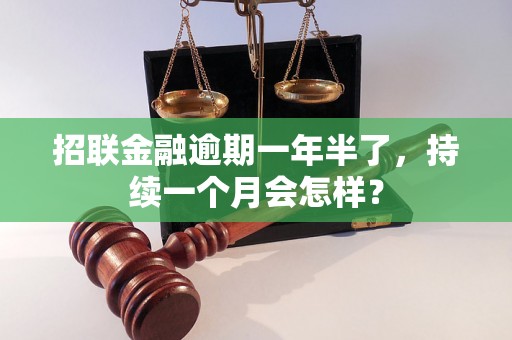 招联金融逾期一年半了，持续一个月会怎样？