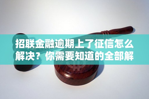 招联金融逾期上了征信怎么解决？你需要知道的全部解决方法