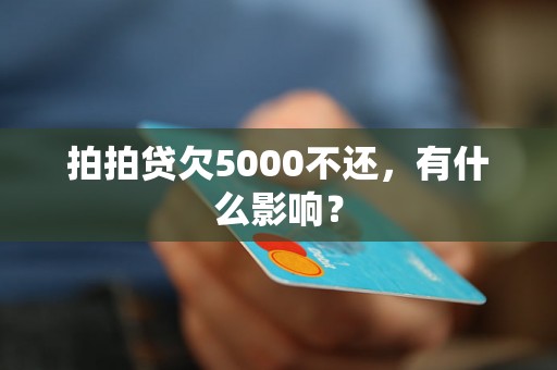 拍拍贷欠5000不还，有什么影响？