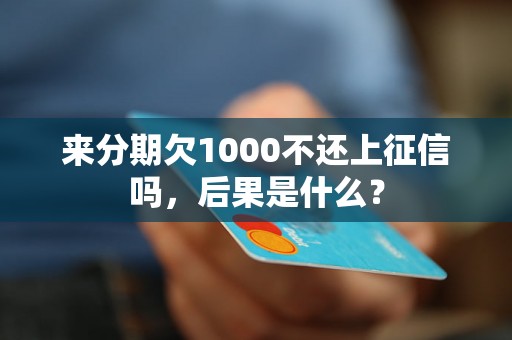 来分期欠1000不还上征信吗，后果是什么？