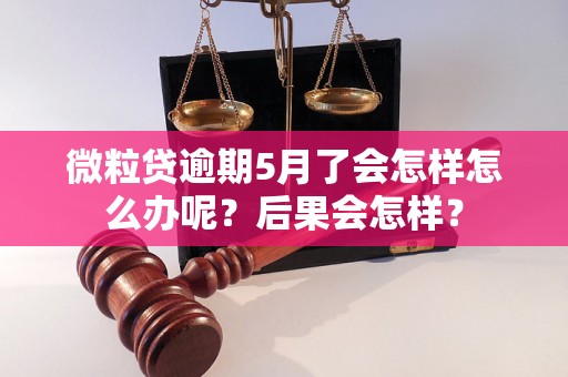 微粒贷逾期5月了会怎样怎么办呢？后果会怎样？