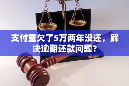 支付宝欠了5万两年没还，解决逾期还款问题？