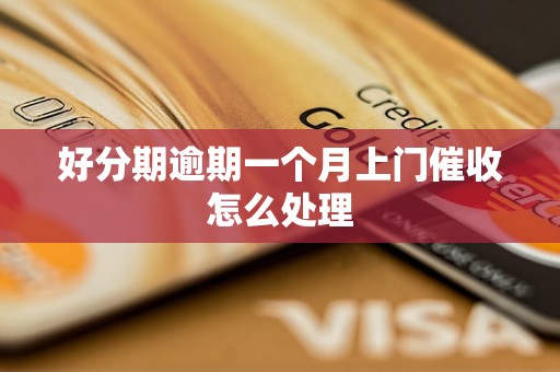 好分期逾期一个月上门催收怎么处理