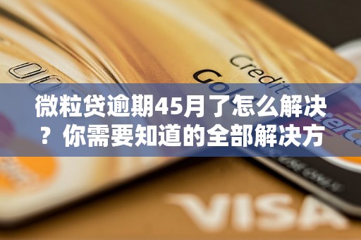 微粒贷逾期45月了怎么解决？你需要知道的全部解决方法