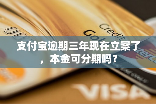 支付宝逾期三年现在立案了，本金可分期吗？