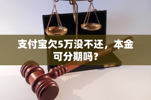 支付宝欠5万没不还，本金可分期吗？