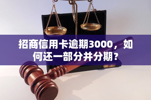 招商信用卡逾期3000，如何还一部分并分期？