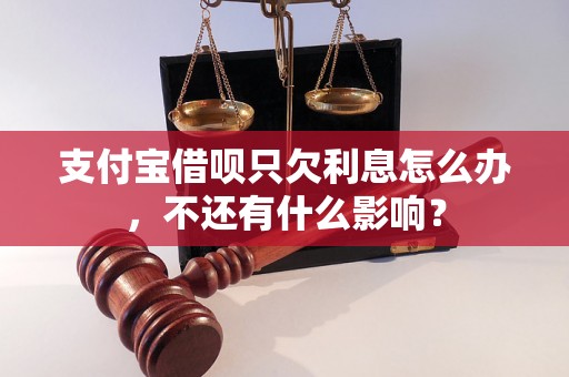 支付宝借呗只欠利息怎么办，不还有什么影响？