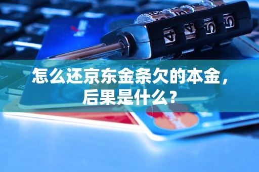 怎么还京东金条欠的本金，后果是什么？