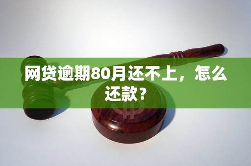 网贷逾期80月还不上，怎么还款？