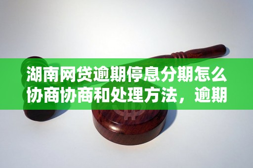 湖南网贷逾期停息分期怎么协商协商和处理方法，逾期协商技巧分享