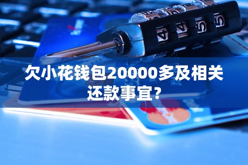 欠小花钱包20000多及相关还款事宜？