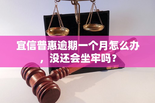 宜信普惠逾期一个月怎么办，没还会坐牢吗？