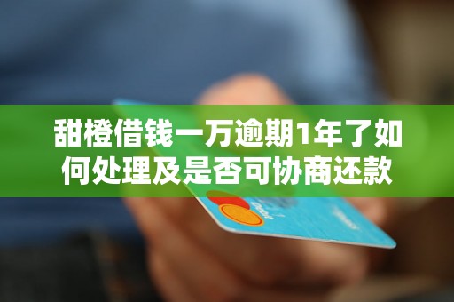 甜橙借钱一万逾期1年了如何处理及是否可协商还款