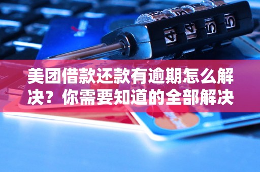 美团借款还款有逾期怎么解决？你需要知道的全部解决方法