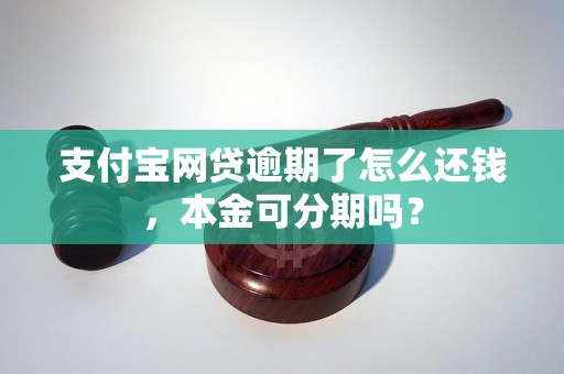 支付宝网贷逾期了怎么还钱，本金可分期吗？