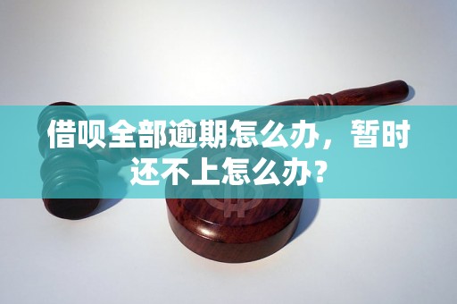 借呗全部逾期怎么办，暂时还不上怎么办？