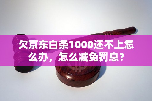 欠京东白条1000还不上怎么办，怎么减免罚息？