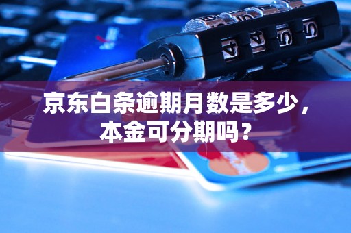 京东白条逾期月数是多少，本金可分期吗？