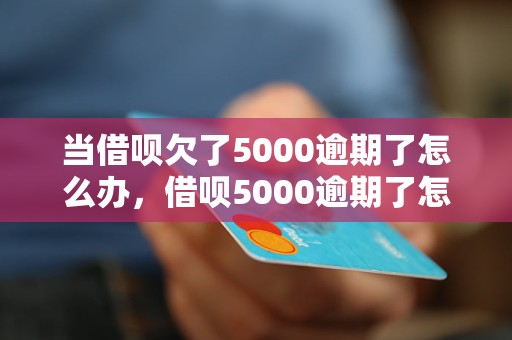 当借呗欠了5000逾期了怎么办，借呗5000逾期了怎么处理