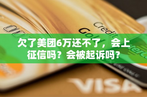 欠了美团6万还不了，会上征信吗？会被起诉吗？