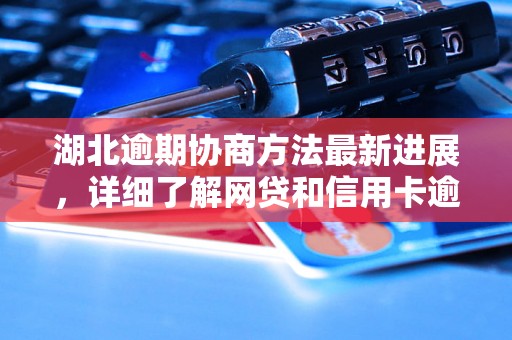 湖北逾期协商方法最新进展，详细了解网贷和信用卡逾期法律后果