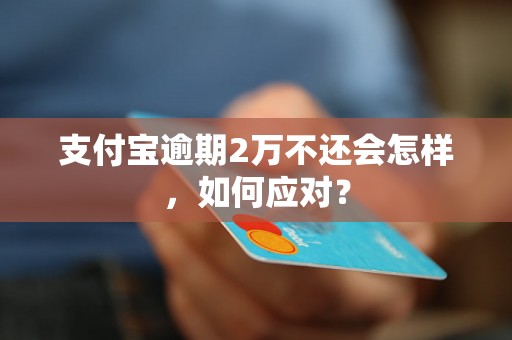 支付宝逾期2万不还会怎样，如何应对？