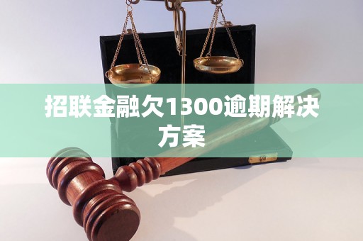 招联金融欠1300逾期解决方案