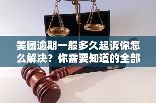 美团逾期一般多久起诉你怎么解决？你需要知道的全部解决方法