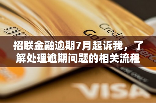 招联金融逾期7月起诉我，了解处理逾期问题的相关流程和方法