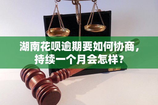 湖南花呗逾期要如何协商，持续一个月会怎样？