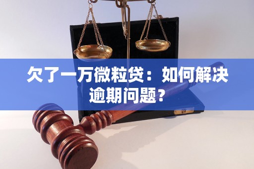 欠了一万微粒贷：如何解决逾期问题？