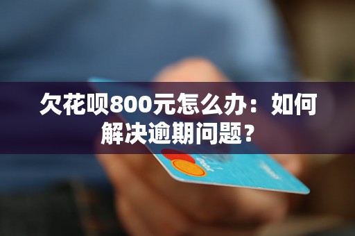 欠花呗800元怎么办：如何解决逾期问题？