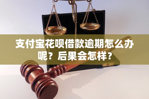 支付宝花呗借款逾期怎么办呢？后果会怎样？