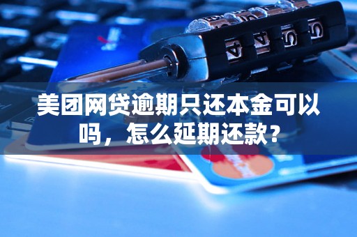 美团网贷逾期只还本金可以吗，怎么延期还款？