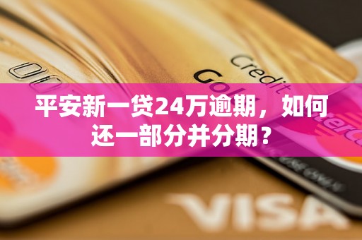 平安新一贷24万逾期，如何还一部分并分期？