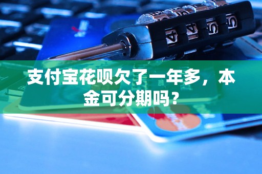 支付宝花呗欠了一年多，本金可分期吗？