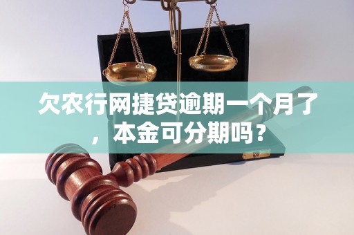 欠农行网捷贷逾期一个月了，本金可分期吗？