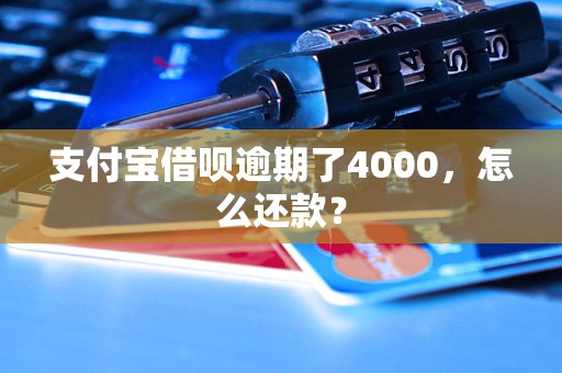 支付宝借呗逾期了4000，怎么还款？