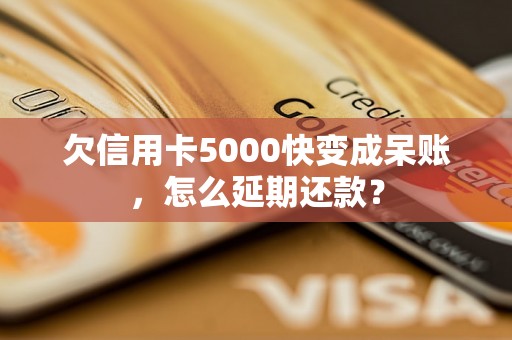 欠信用卡5000快变成呆账，怎么延期还款？