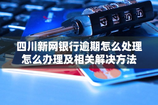 四川新网银行逾期怎么处理怎么办理及相关解决方法