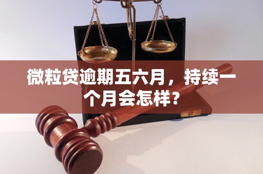 微粒贷逾期五六月，持续一个月会怎样？