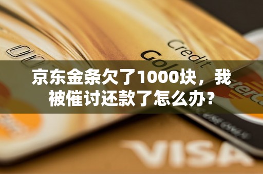 京东金条欠了1000块，我被催讨还款了怎么办？