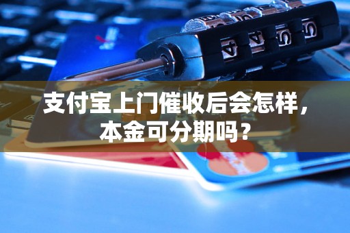 支付宝上门催收后会怎样，本金可分期吗？