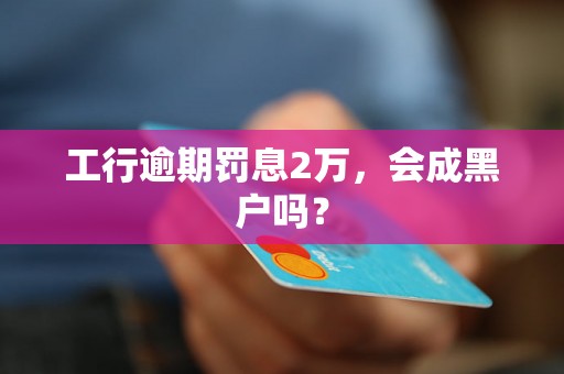 工行逾期罚息2万，会成黑户吗？